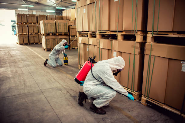 Reliable Greenock, PA Pest Control Solutions