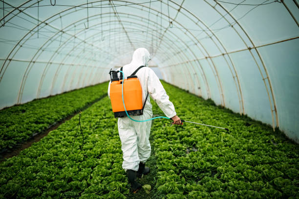 Best Ant Control Services  in Greenock, PA