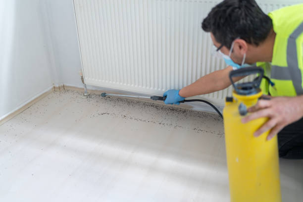 Best Pest Control for Homes  in Greenock, PA